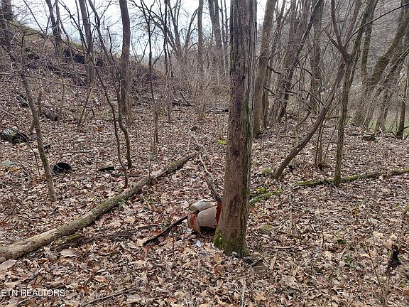 3rd image of 4266 Miser Station Rd