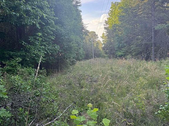 4th image of 475 Summer House Mountain Rd