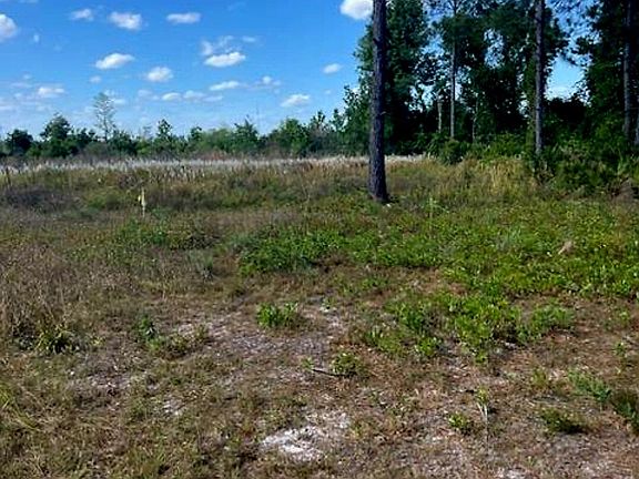 5th image of 1108306 Oil Well Road