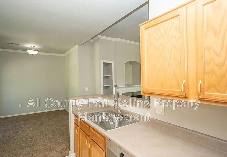 5620 Fossil Creek Pkwy #5201 — Photo 4