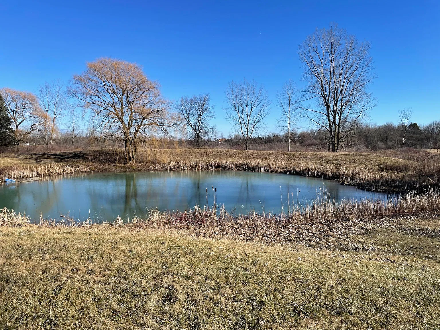 Hayes Rd, Macomb — Photo 4