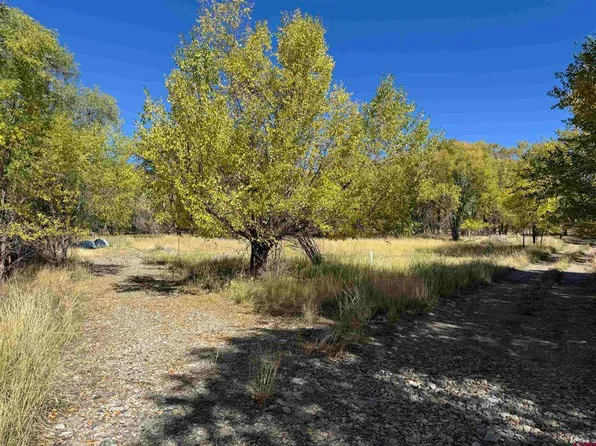 Lot 1 Price Road, Paonia, CO 81428