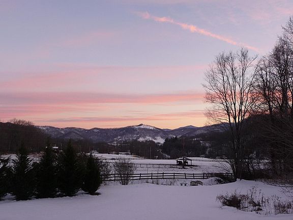 Snowy view from back deck