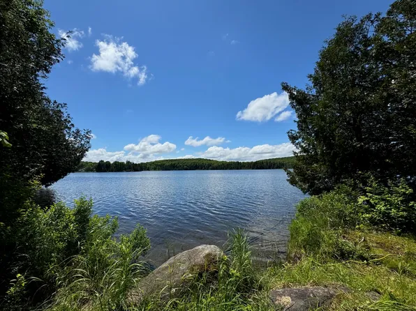 445 Eastern Avenue, Walden, VT 05836