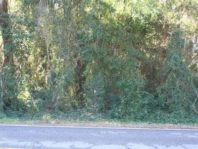 SE Sunset Harbor Rd LOT 2, Summerfield, FL, 34491