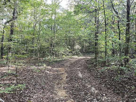 3rd image of 0 Waters Rd