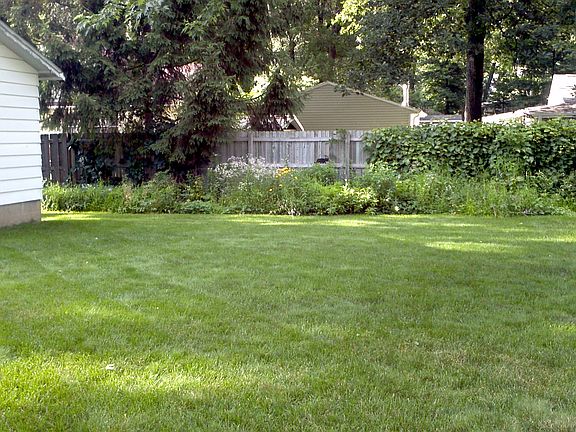 Rear Yard & Wild Flower Beds