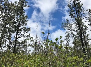 40th St LOT 11, Kurtistown, HI 96760