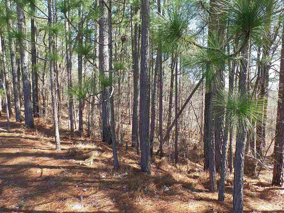 1st image of TBD S Glenwood Trail LOT 1