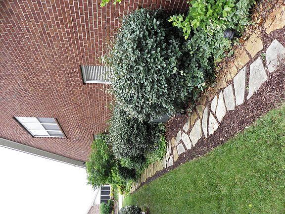 Professionally Landscaped