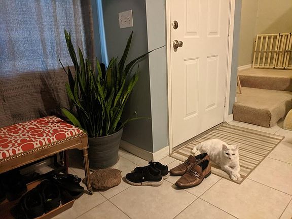 4th image of 1710 NW 7th St APT 502