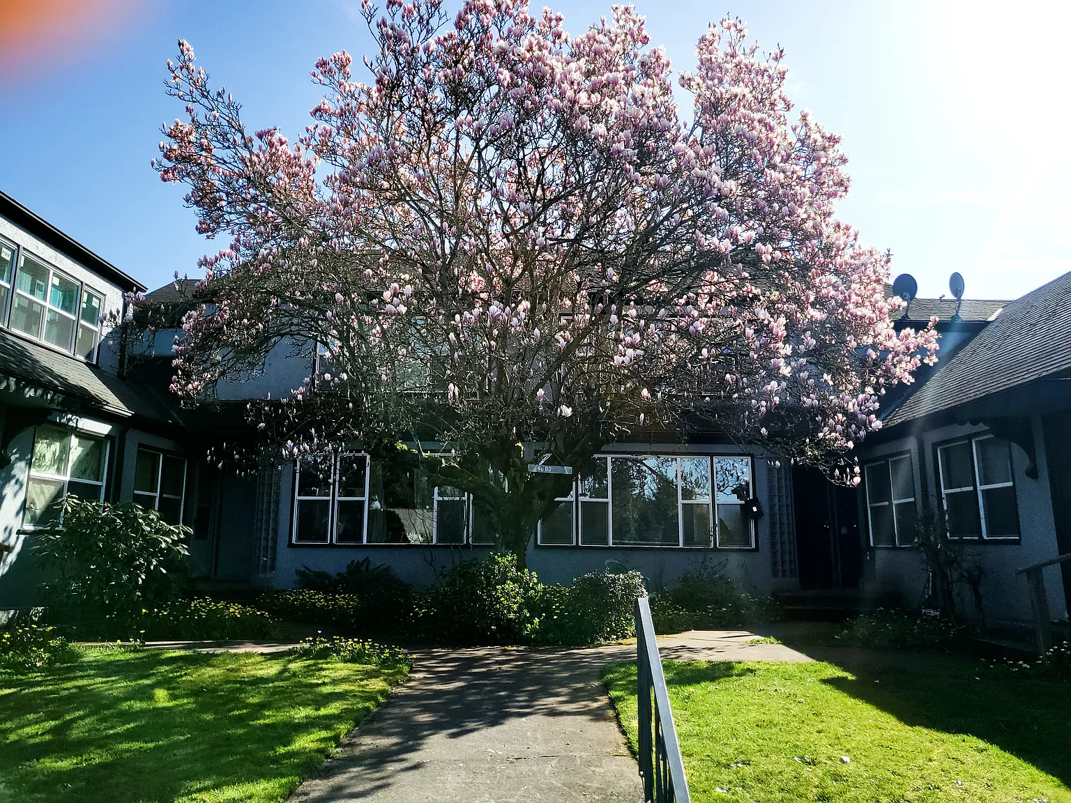 1 bed, 600 sqft, $1,250 — Photo 1