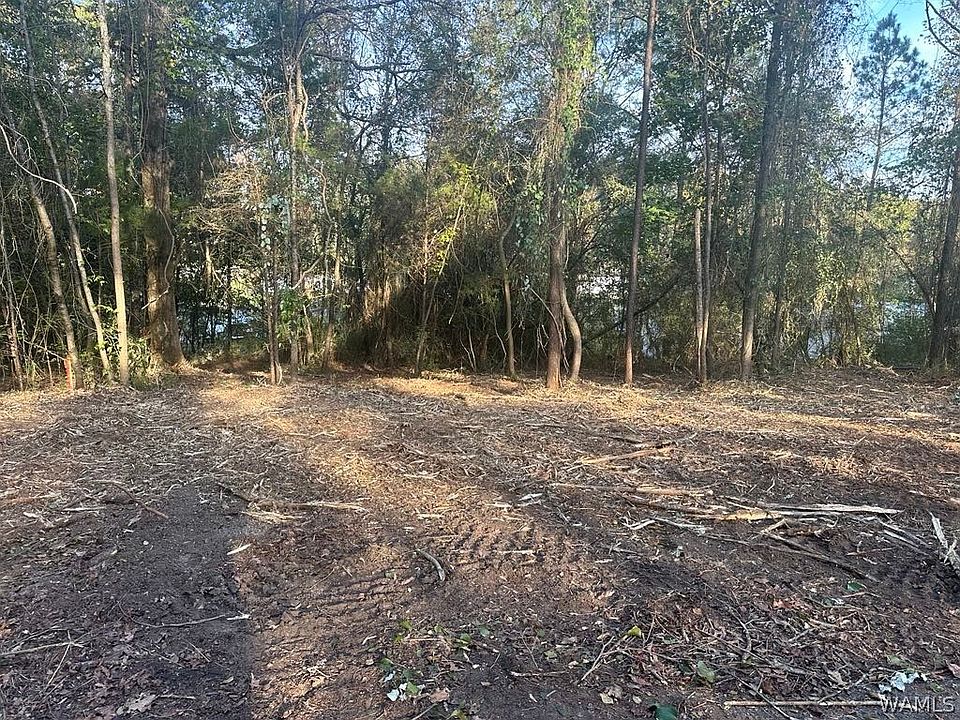 1st image of LOT 63 Blue Pine Cir
