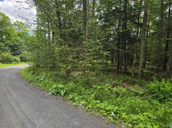 PARCEL 80 Wooded Ln Lot 23, Muncy Valley, PA 17758