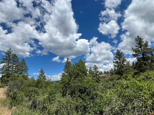 433 Echo Lane, Pagosa Springs, CO 81147