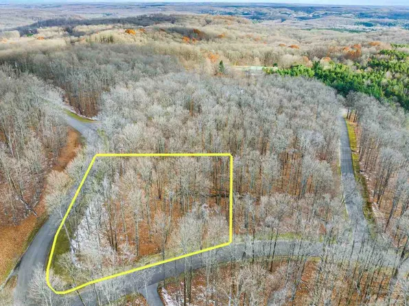 158 Forest Highlands, Bellaire, MI 49615