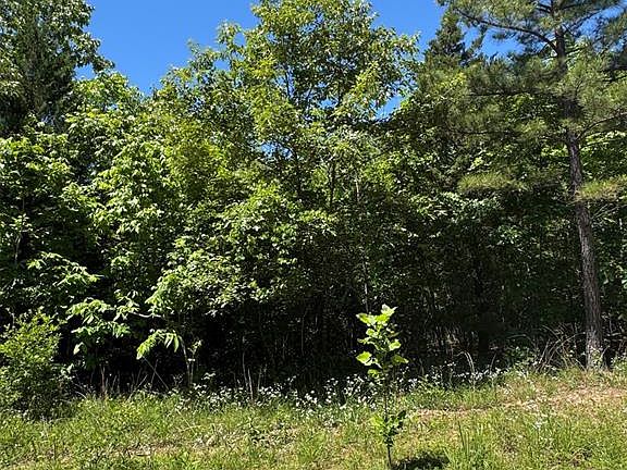 4th image of 59 Ridge Rd Lot 59