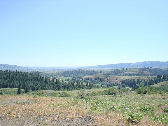 Valley view from top
