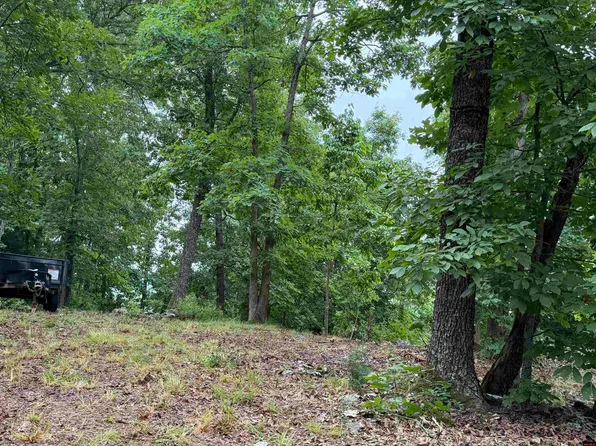 Off Of Morgan Cave Rd, Harrison, AR 72601