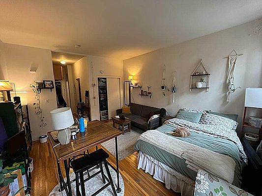 3rd image of 336 E 87th St APT 3D