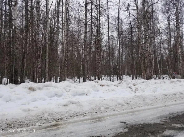 19996-74 E Record Ave, Willow, AK 99688