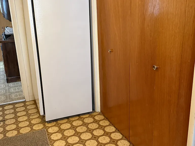 Closet and Freezer in Mud Room