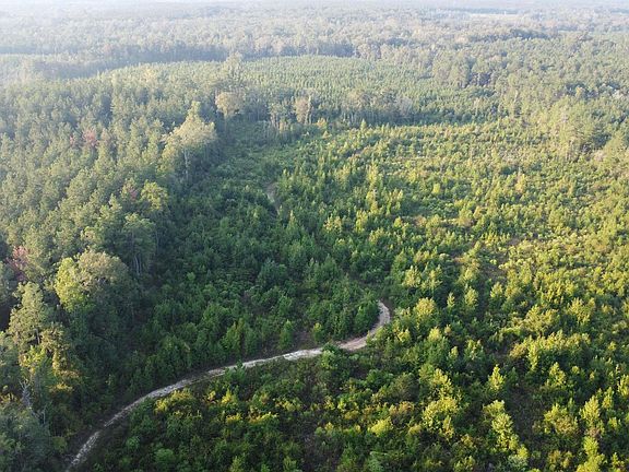 5th image of 0 Horace Williams Rd