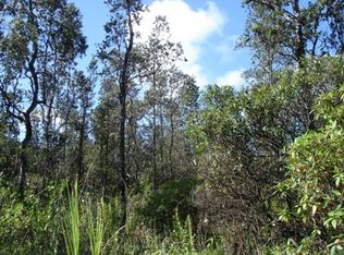 Road 1, Mountain View, HI 96771