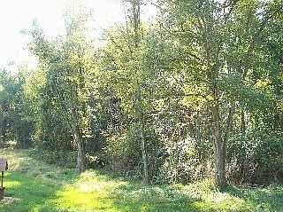 2nd image of 15 Stephen Dr
