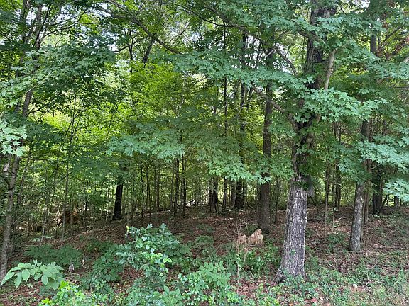 3rd image of LOT 7 Woodsong Ln