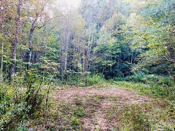 5th image of 1885 Flea Mountain Rd