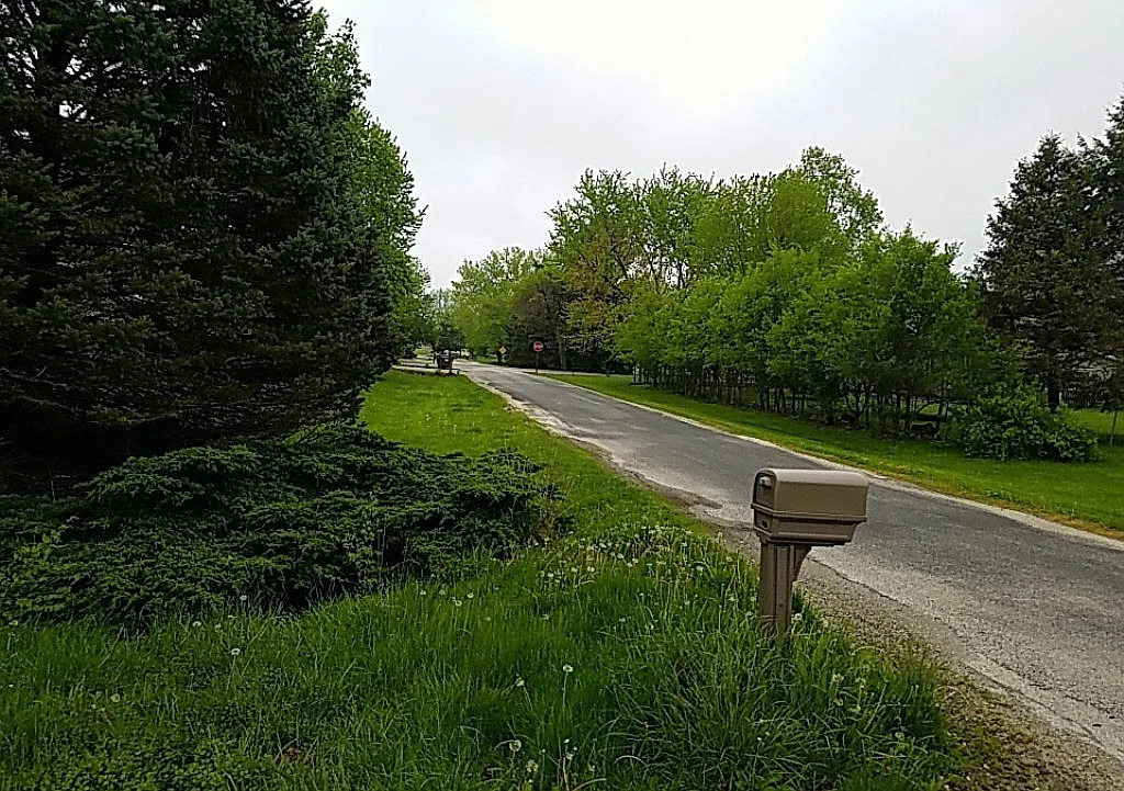 Property photo 5