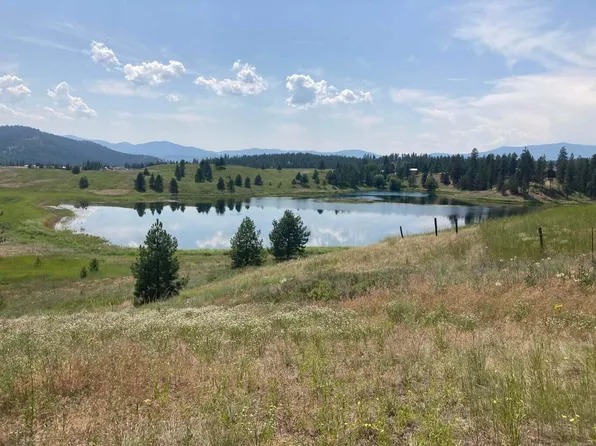 789L Kitt Narcisse Rd, Colville, WA 99114