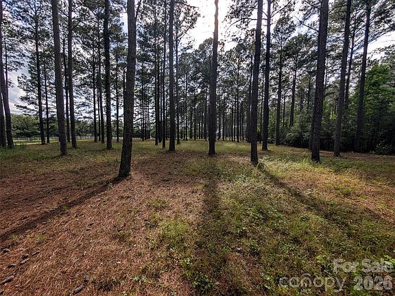 4th image of 0 Blessed Hope Rd Tract 2