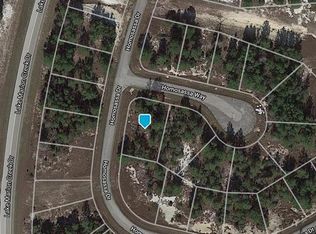 600 Homosassa Way, Kissimmee, FL 34759