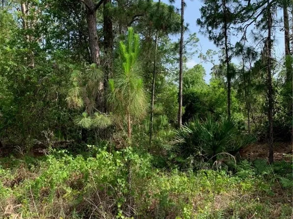 10828 Bending Oak Dr, Sebring, FL 33875