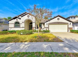 2134 Valterra Vista Way, Valrico, FL 33594
