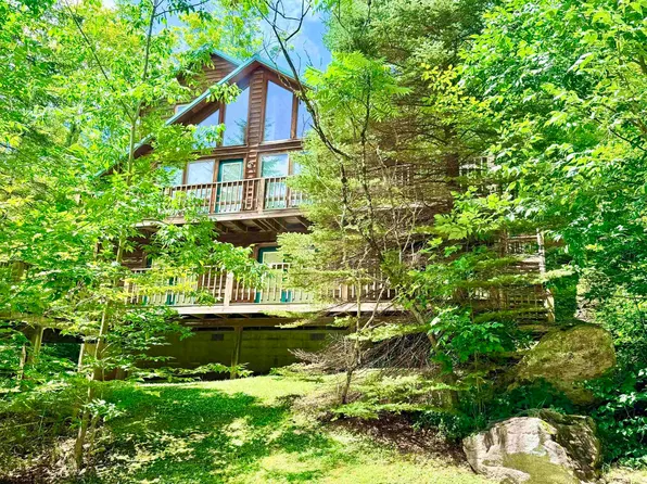 22 Snow Run Rd, Davis, WV 26260