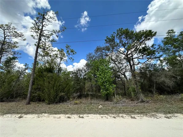 NE 63rd Pl Lot 8, Williston, FL 32696