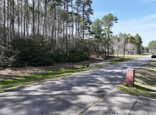 17424 Woodforest Dr, Waller, TX 77484