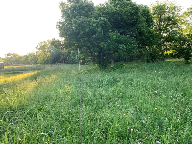 501 FM 1227 Rd — Photo 8