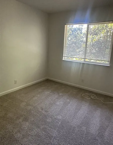 2224 Halsey Cir — Photo 18