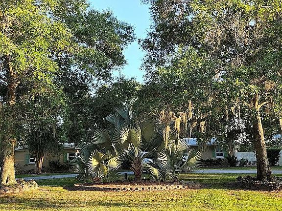 4th image of 1006 Eckles Dr