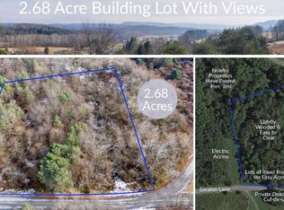 0 Lot 12-13 Serafen Ln, Plymouth, NY 13832
