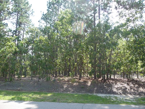 3rd image of 855 Lake Dornoch Dr