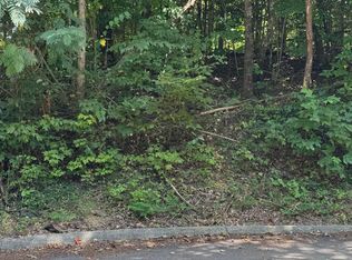 S B Ogle Ln, Pigeon Forge, TN 37876