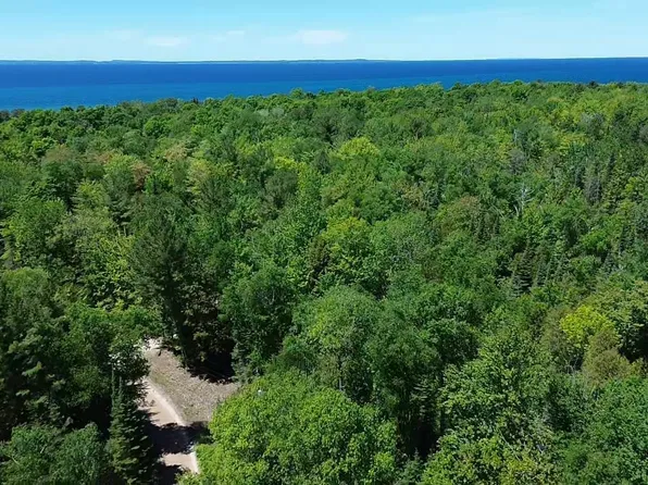 0 Timberlane Dr, Ellsworth, MI 49729