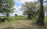 2nd image of County Road 121