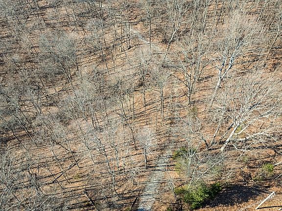 4th image of 0 N Rush Creek Rd