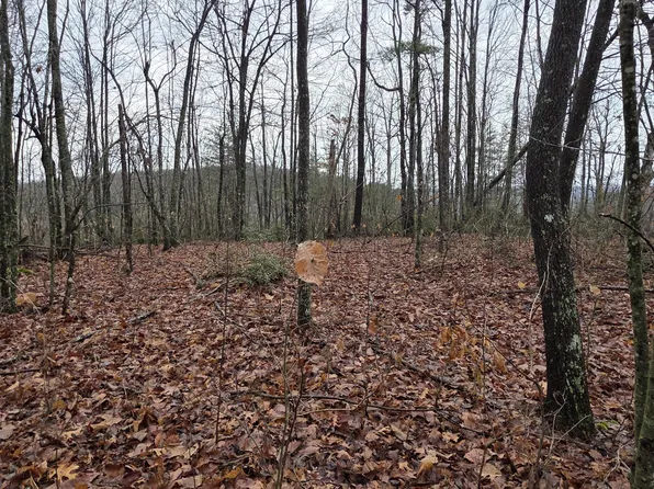 772 Eastridge Pass, Monterey, TN 38574